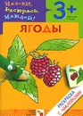 Ягоды. Раскраска с наклейками. Для детей 3-5 лет - Л. Бурмистрова, В. Мороз