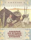 Собирай по ягодке - наберешь кузовок - Петров М. А., Шергин Борис Викторович