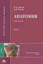 Анатомия. В 2 томах. Том 2 - П. К. Лысов, М. Р. Сапин