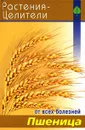 Пшеница - С. А. Павлов