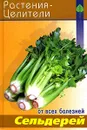 Сельдерей - С. А. Павлов