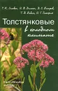 Толстянковые в холодном климате - Т. К. Головко, И. В. Далькэ, Д. С. Бачаров, Т. В. Бабок, И. Г. Захожий,