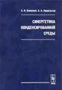 Синергетика конденсированной среды - А. И. Олемской, А. А. Кацнельсон