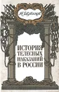 История телесных наказаний в России - Н. Евреинов