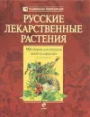 Русские лекарственные растения. 550 сборов для лечения детей и взрослых - Цицилин Андрей Николаевич