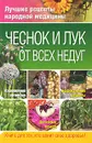 Чеснок и лук от всех недуг - Соловьева Вера Андреевна