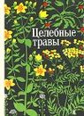 Целебные травы - К. У. Ушбаев, И. И. Курамысова, В. Ф. Аксенова