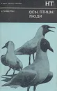 Осы, птицы, люди - Тинберген Николас, Гурова Ирина Гавриловна