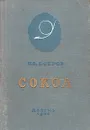 Сокол. Повесть о русском летчике П. Н. Нестерове - Бобров Николай Сергеевич