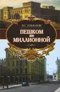 Пешком по Миллионной - Измозик Владлен Семенович