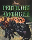 Рептилии. Амфибии - Кауров И. Л., Дунаев Евгений Анатольевич