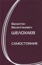 Самостояние - В. В. Шелохаев