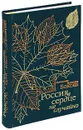 Россия в сердце не случайно. Вспоминая Виктора Бокова - Виктор Боков