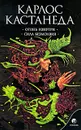 Огонь изнутри. Сила безмолвия - Карлос Кастанеда