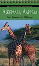 Три билета до Эдвенчер - Даррелл Джеральд