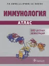 Иммунология. Атлас - Р. М. Хаитов, А. А. Ярилин, Б. В. Пинегин