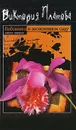 Любовники в заснеженном саду. В 2 книгах. Книга 1 - Виктория Платова