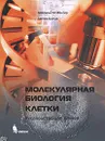 Молекулярная биология клетки - Джеральд М. Фаллер, Деннис Шилдс