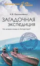 Загадочная экспедиция. Что искали немцы в Антарктиде? - А. В. Васильченко