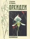 Орхидеи - С. О. Герасимов, И. М. Журавлев