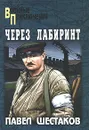 Через лабиринт - Шестаков Павел Александрович