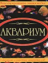 Аквариум - Д. И. Ермакович