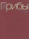 Грибы - Ф. В. Федоров