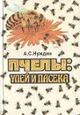 Пчелы: улей и пасека - А. С. Нуждин