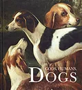 Gods, Humans, Dogs - Николай Голь,Ирина Мамонова,Мария Халтунен