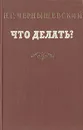 Что делать? Из рассказов о новых людях - Чернышевский Николай Гаврилович