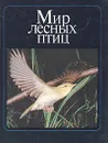 Мир лесных птиц - Штейнбах Михаил В.