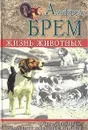 Жизнь животных. Наши любимцы - домашние животные и птицы - Альфред Брем