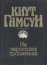 На заросших тропинках - Кнут Гамсун