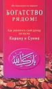 Богатство рядом! Как увеличить свой доход согласно Корану и Сунне - Ибн Мирзакарим ал-Карнаки