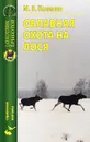 Облавная охота на лося - М. В. Калинин