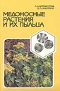 Медоносные растения и их пыльца - А. Н. Бурмистров, В. А. Никитина