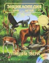 Энциклопедия для детей. Птицы и звери - Володин Виктор А., Вильчек Григорий