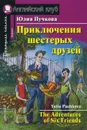 Приключения шестерых друзей / The Adventures of Six Friends: Beginner (+ CD-ROM) - Юлия Пучкова
