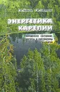 Энергетика Карелии. Современное состояние, ресурсы и перспективы развития - Г. А. Борисов, Г. И. Сидоренко