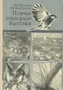 Птичье эльдорадо Балтики - М. Е. Шумаков, Н. В. Виноградова