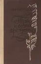 Три цвета времени - А. Виноградов