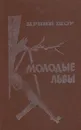 Молодые львы - Ирвин Шоу