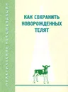 Как сохранить новорожденных телят - П. Г. Захаров