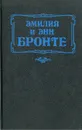 Грозовой перевал. Незнакомка из Уайлдфелл-Холла - Эмилия Бронте, Энн Бронте