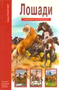 Лошади. Школьный путеводитель - С. Ю. Афонькин