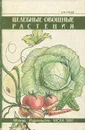 Целебные овощные растения - А. М. Гусев