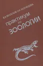 Практикум по зоологии - Веселов Е. А., Кузнецова О. Н.