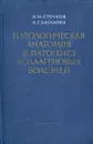 Патологическая анатомия и патогенез коллагеновых болезней - А. И. Струков, А. Г. Бегларян