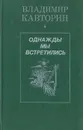 Однажды мы встретились - Владимир Кавторин