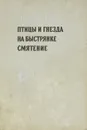 Птицы и гнезда. На Быстрянке. Смятение - Янка Брыль